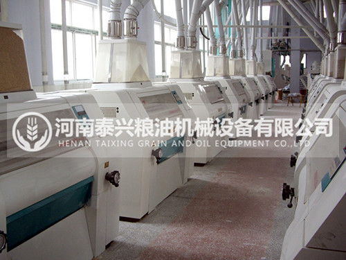 青稞加工设备